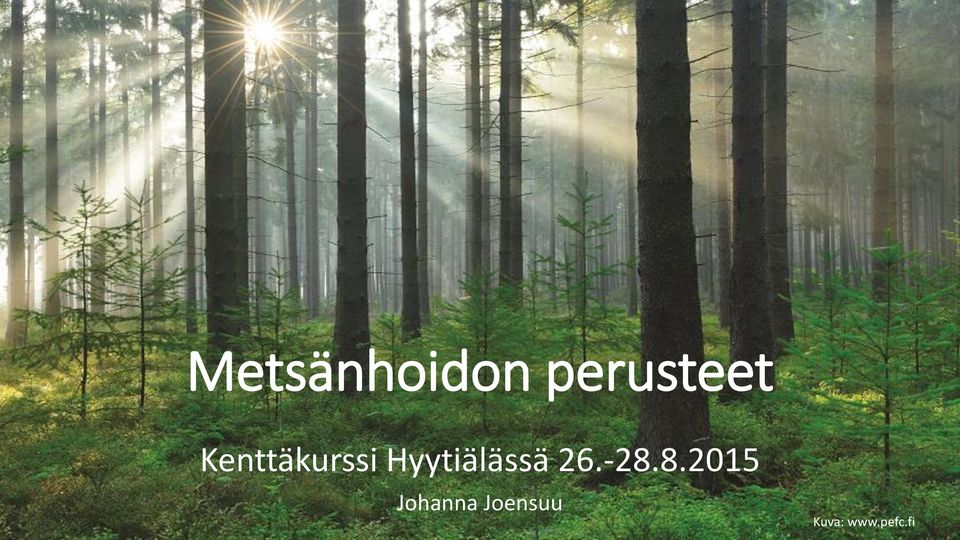 Hyytiälässä 26.-28.