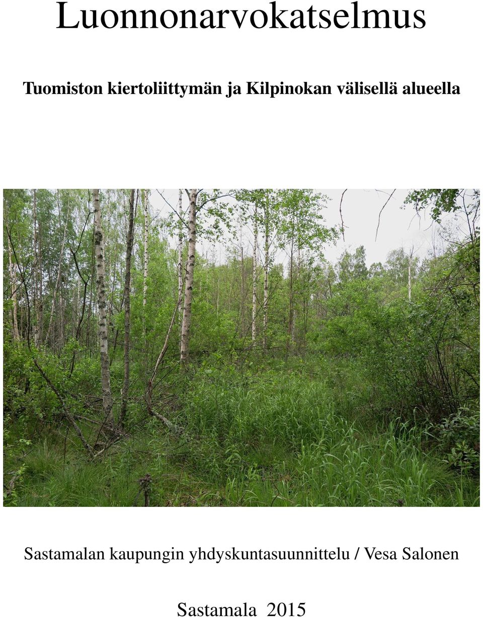 välisellä alueella Sastamalan