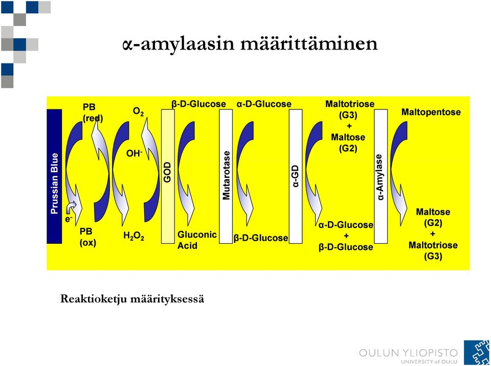 β-d-glucose Acid α-gd Maltotriose (G3) + Maltose (G2) α-d-glucose +