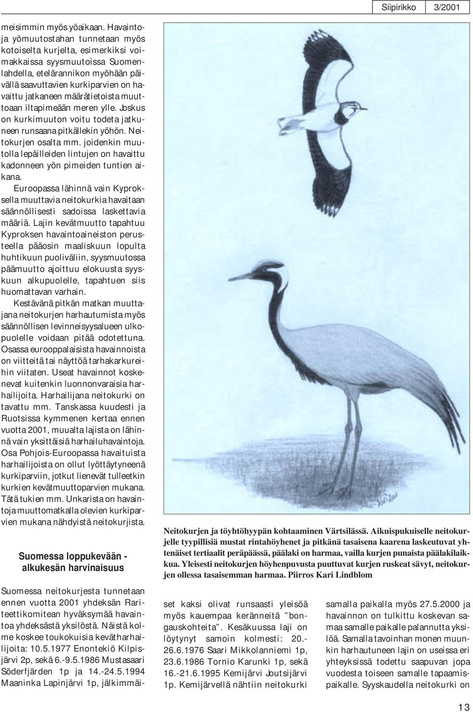 määrätietoista muuttoaan iltapimeään meren ylle. Joskus on kurkimuuton voitu todeta jatkuneen runsaana pitkällekin yöhön. Neitokurjen osalta mm.