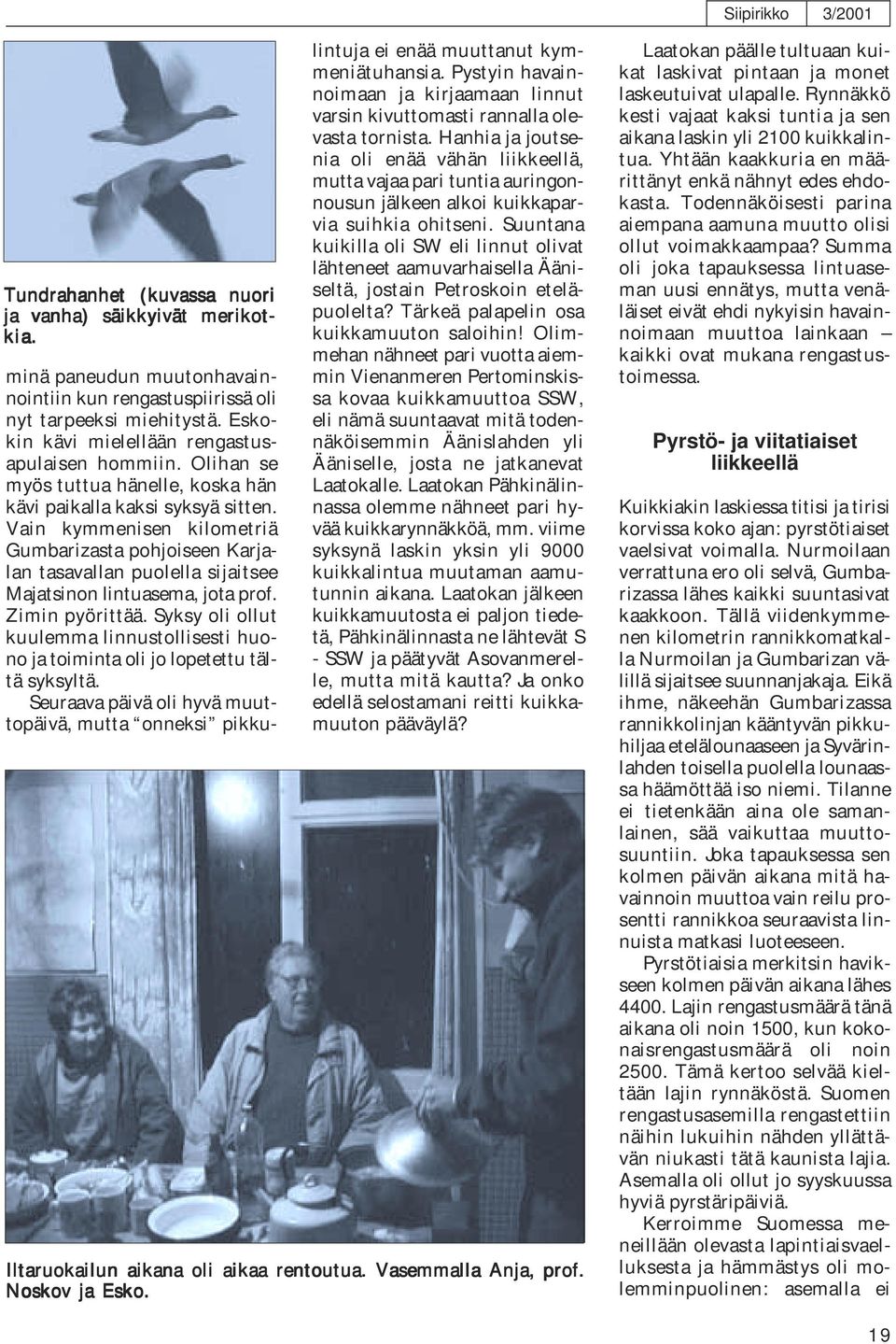 Vain kymmenisen kilometriä Gumbarizasta pohjoiseen Karjalan tasavallan puolella sijaitsee Majatsinon lintuasema, jota prof. Zimin pyörittää.