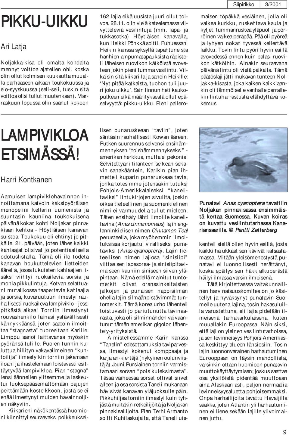 olin vielä katselemassa viivytteleviä vesilintuja (mm. lapa- ja tukkasotka) Höytiäisen kanavalla, kun Heikki Pönkkä soitti.