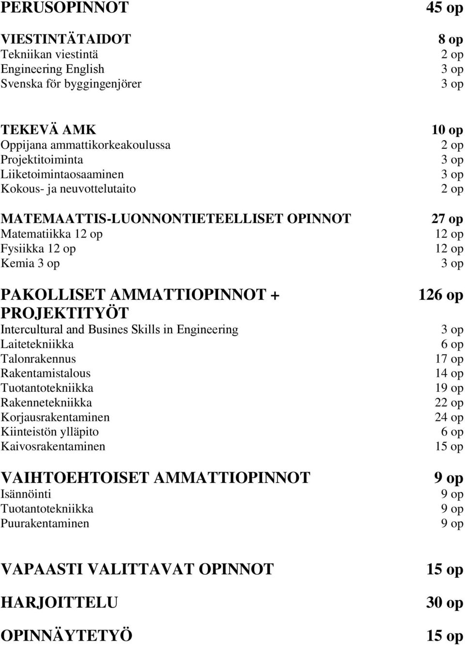 Busines Skills in Engineering Laitetekniikka Talonrakennus Rakentamistalous Tuotantotekniikka Rakennetekniikka Korjausrakentaminen Kiinteistön ylläpito Kaivosrakentaminen VAIHTOEHTOISET