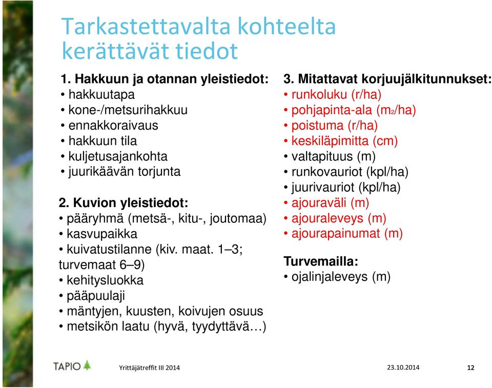 Kuvion yleistiedot: pääryhmä (metsä-, kitu-, joutomaa) kasvupaikka kuivatustilanne (kiv. maat.