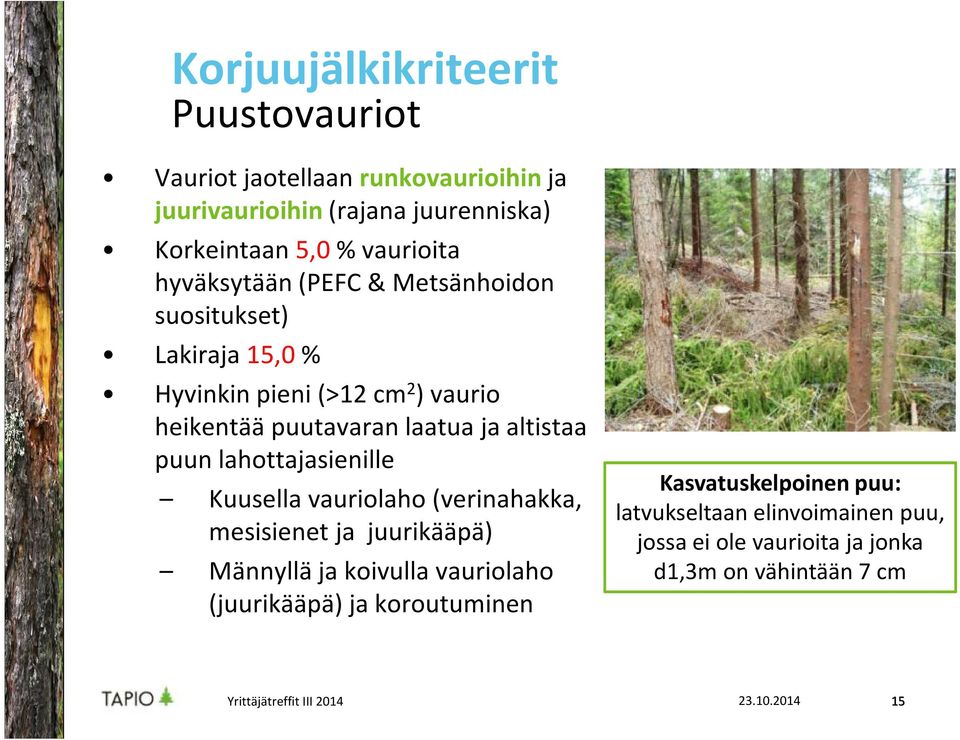 puun lahottajasienille Kuusella vauriolaho (verinahakka, mesisienet ja juurikääpä) Männyllä ja koivulla vauriolaho (juurikääpä) ja