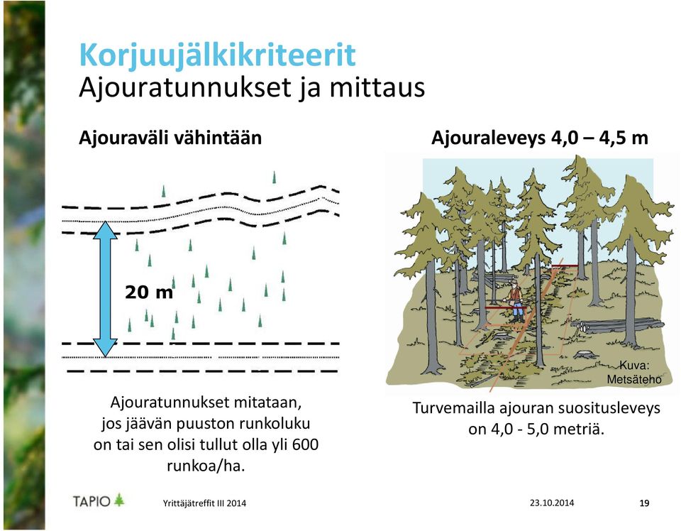 puuston runkoluku on tai sen olisi tullut olla yli 600 runkoa/ha.