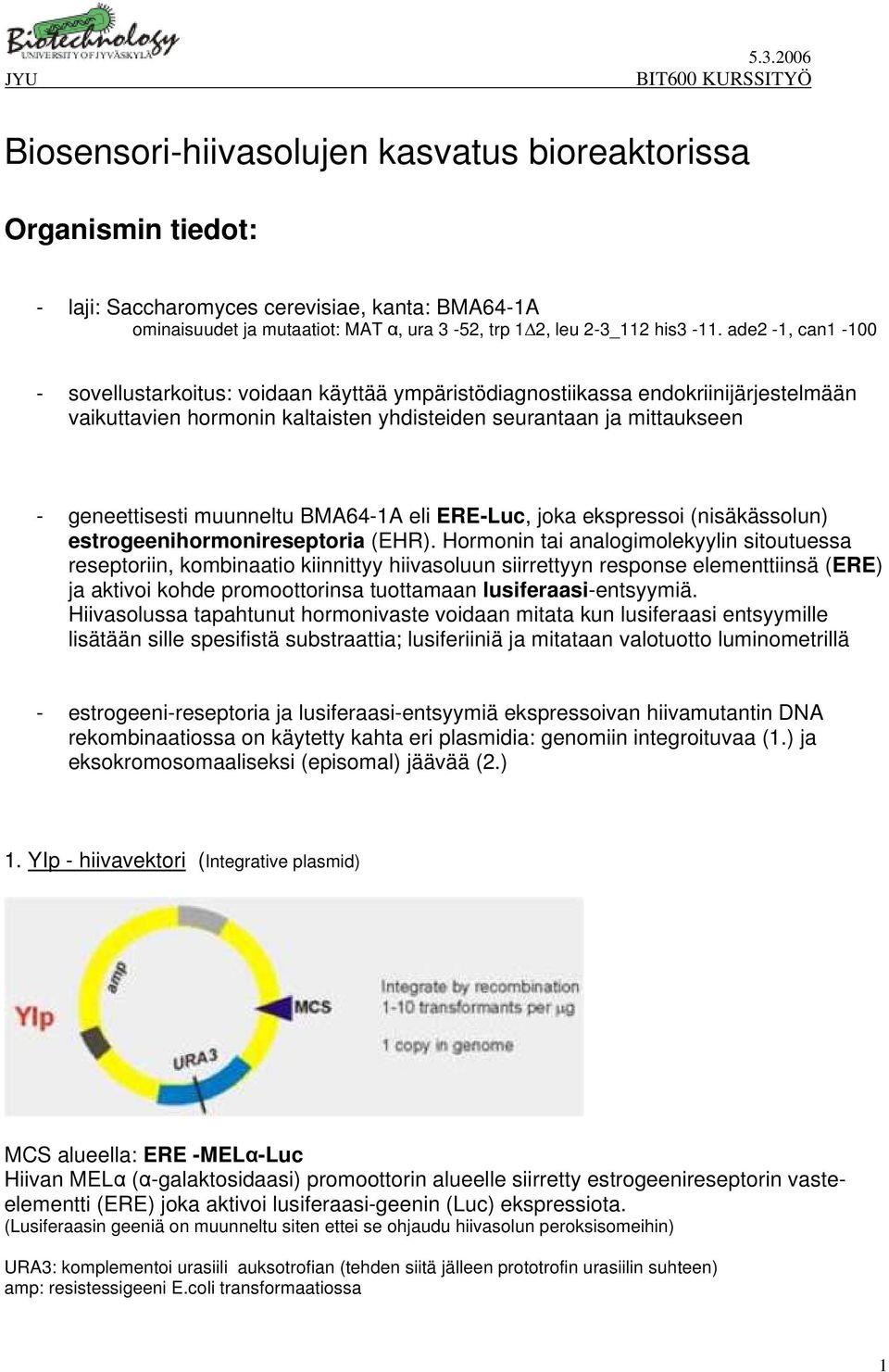 BMA64-1A eli ERE-Luc, joka ekspressoi (nisäkässolun) estrogeenihormonireseptoria (EHR).