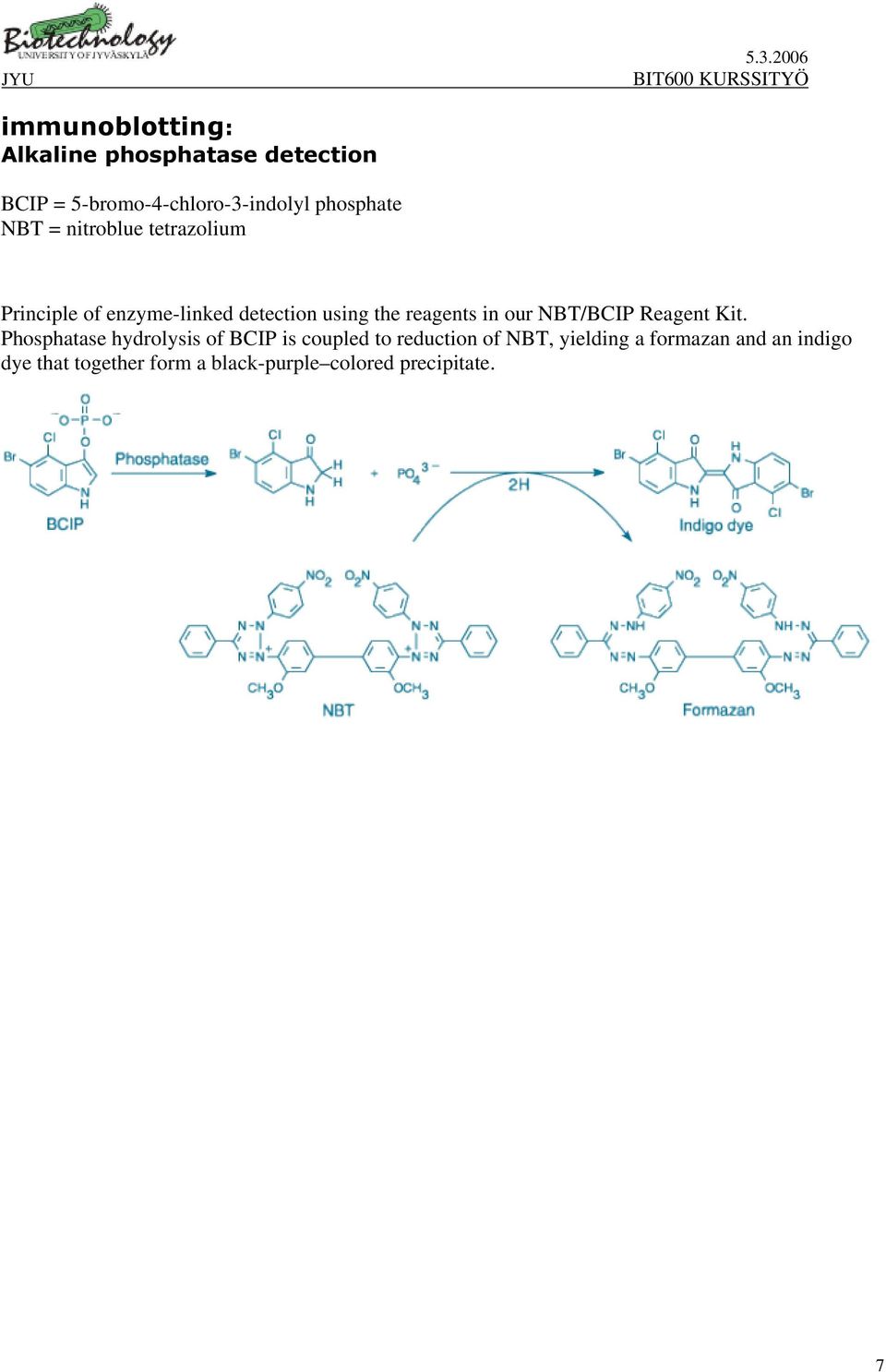 NBT/BCIP Reagent Kit.