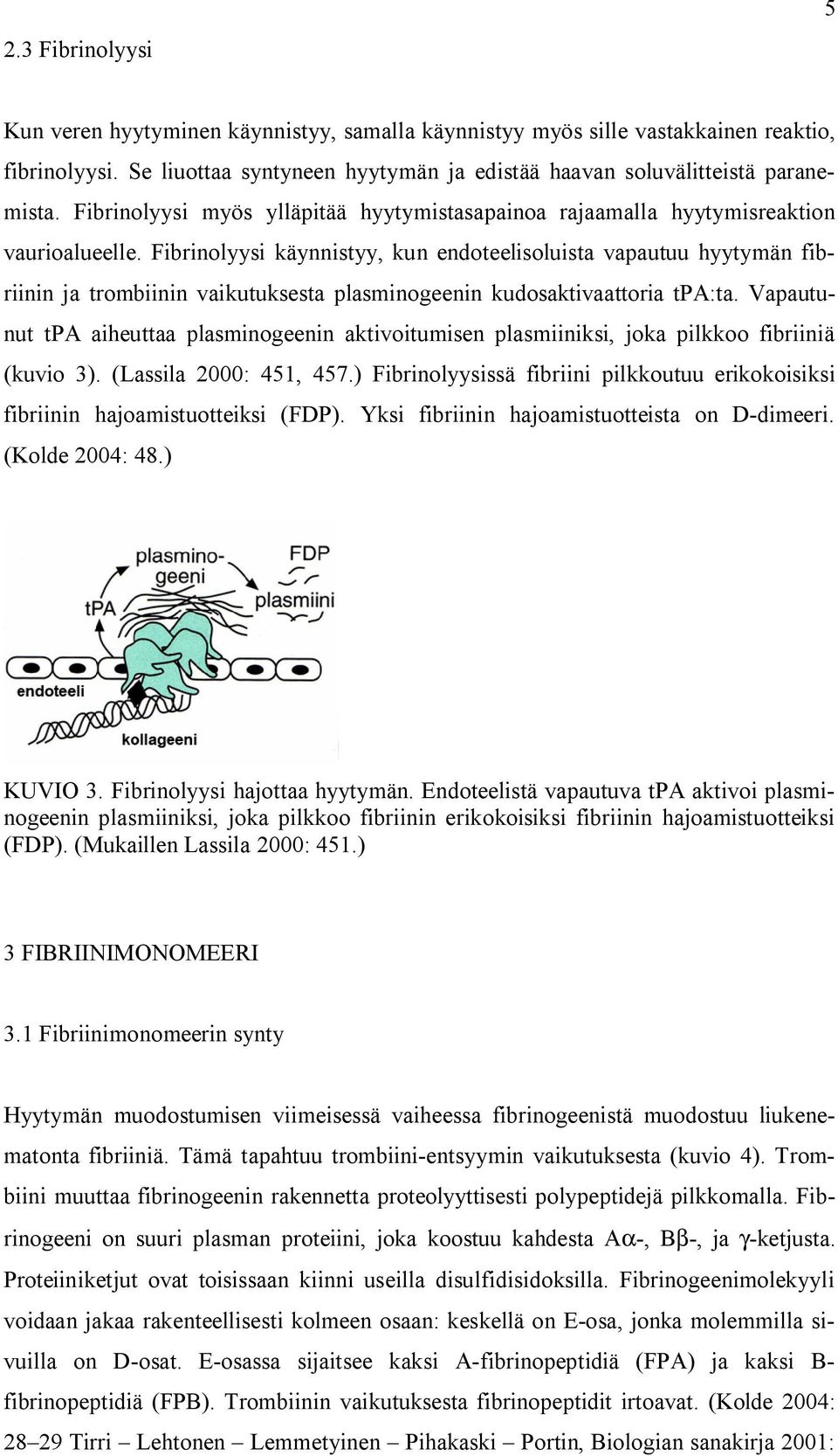 Fibrinolyysi käynnistyy, kun endoteelisoluista vapautuu hyytymän fibriinin ja trombiinin vaikutuksesta plasminogeenin kudosaktivaattoria tpa:ta.