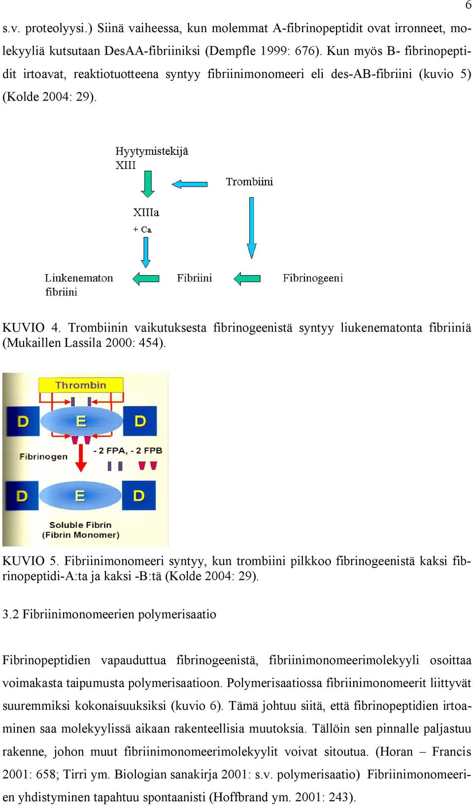 Trombiinin vaikutuksesta fibrinogeenistä syntyy liukenematonta fibriiniä (Mukaillen Lassila 2000: 454). KUVIO 5.