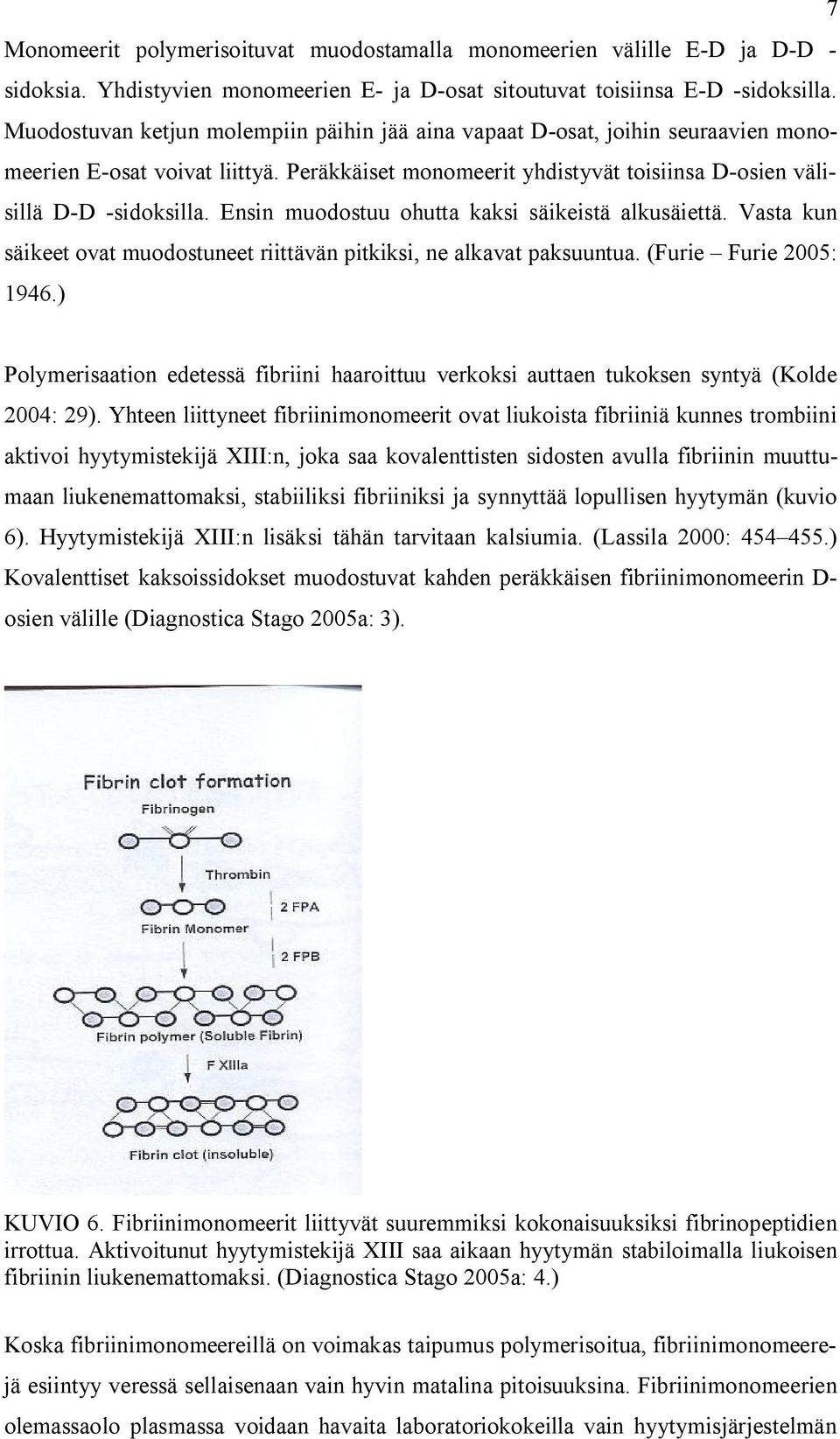 Ensin muodostuu ohutta kaksi säikeistä alkusäiettä. Vasta kun säikeet ovat muodostuneet riittävän pitkiksi, ne alkavat paksuuntua. (Furie Furie 2005: 1946.