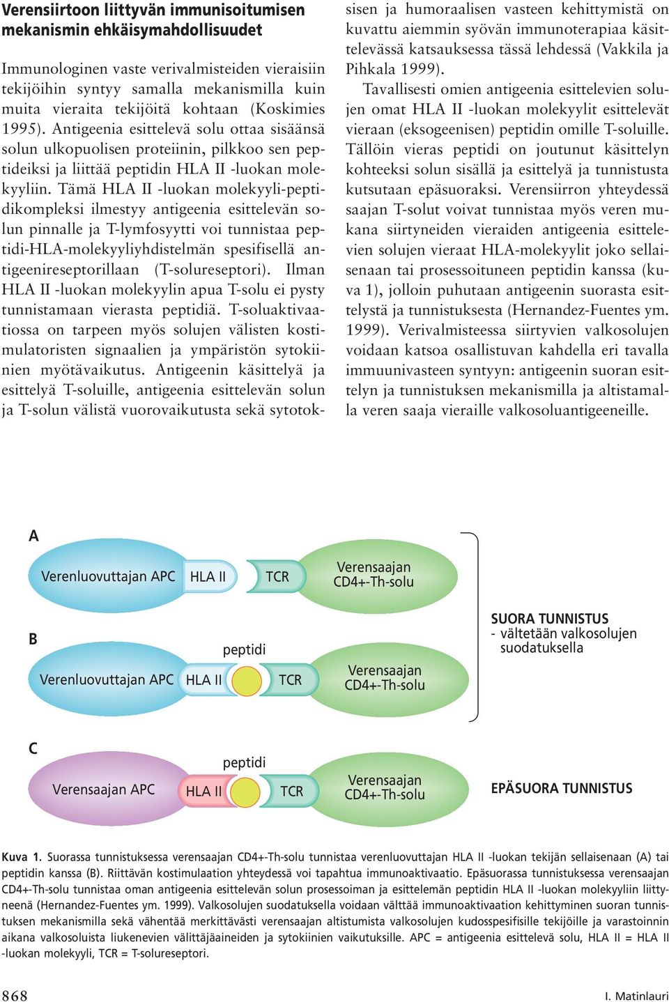 Tämä HLA II -luokan molekyyli-peptidikompleksi ilmestyy antigeenia esittelevän solun pinnalle ja T-lymfosyytti voi tunnistaa peptidi-hla-molekyyliyhdistelmän spesifisellä antigeenireseptorillaan