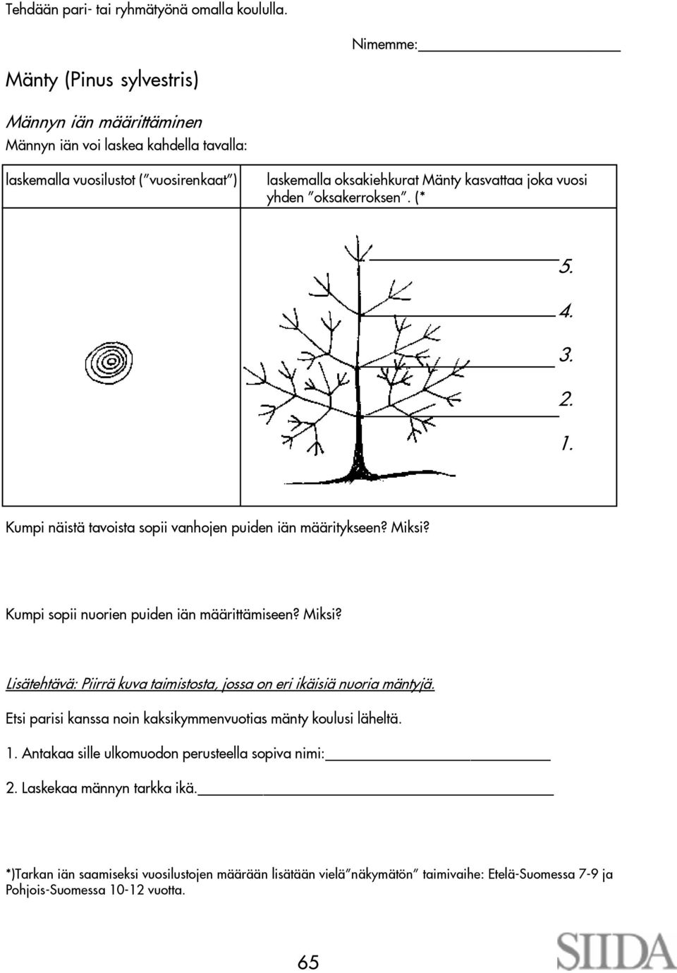 yhden oksakerroksen. (* 5. 4. 3. 2. 1. Kumpi näistä tavoista sopii vanhojen puiden iän määritykseen? Miksi? Kumpi sopii nuorien puiden iän määrittämiseen? Miksi? Lisätehtävä: Piirrä kuva taimistosta, jossa on eri ikäisiä nuoria mäntyjä.