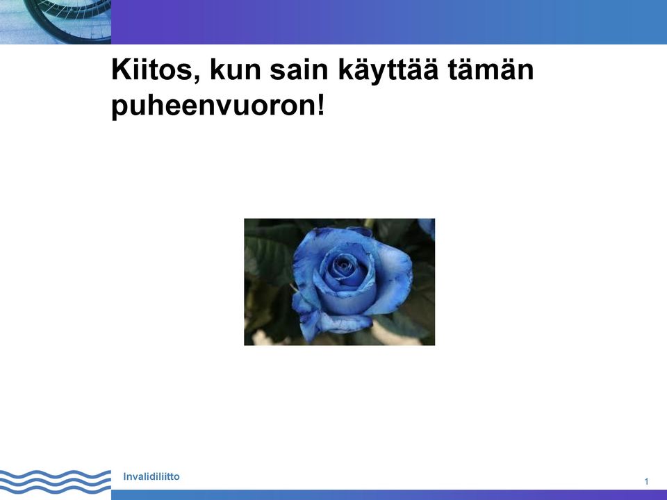 käyttää