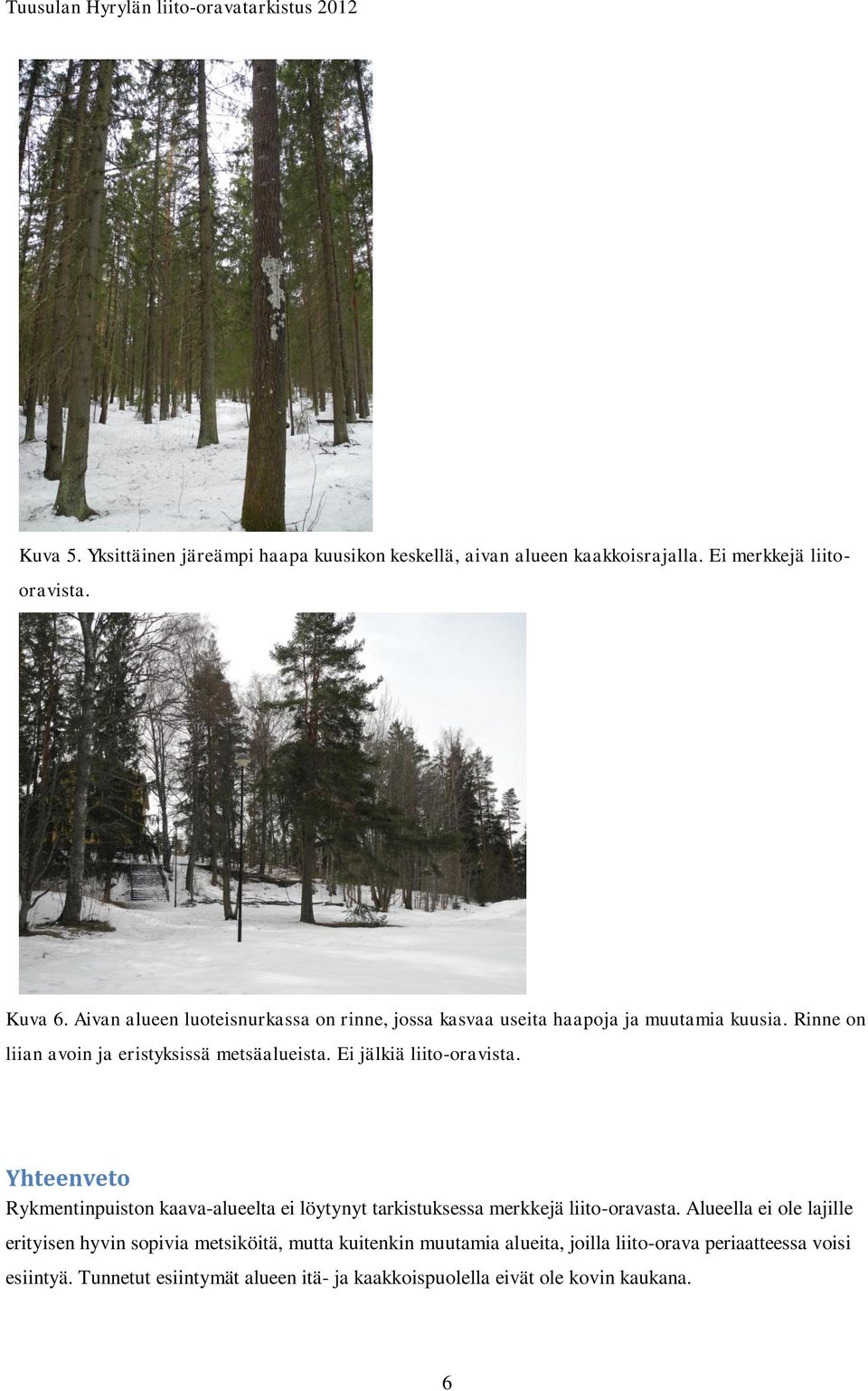 Ei jälkiä liito-oravista. Yhteenveto Rykmentinpuiston kaava-alueelta ei löytynyt tarkistuksessa merkkejä liito-oravasta.