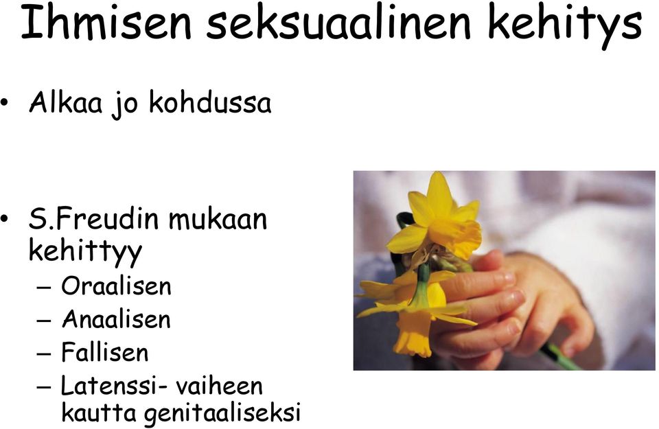 Freudin mukaan kehittyy Oraalisen