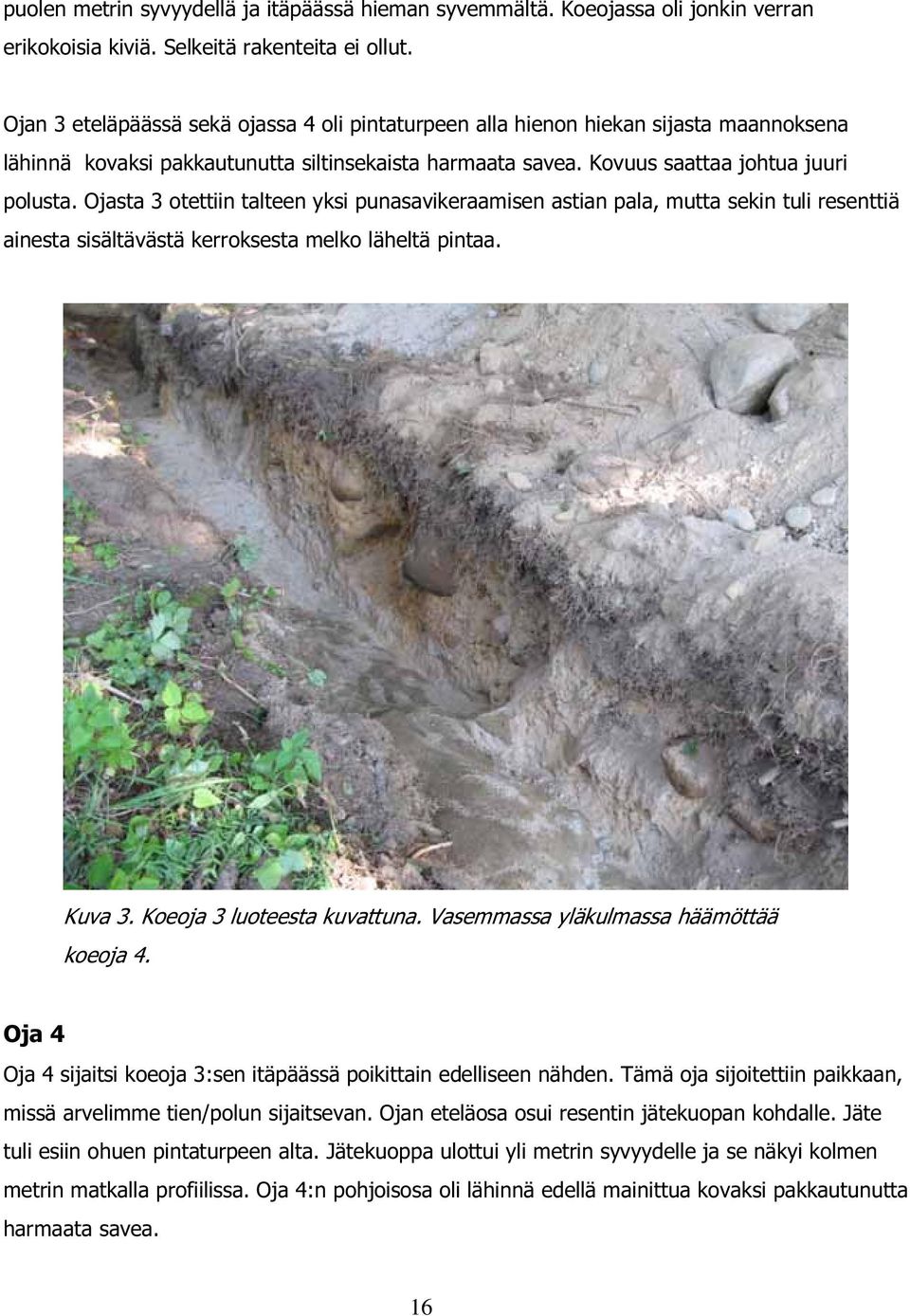 Ojasta 3 otettiin talteen yksi punasavikeraamisen astian pala, mutta sekin tuli resenttiä ainesta sisältävästä kerroksesta melko läheltä pintaa. Kuva 3. Koeoja 3 luoteesta kuvattuna.
