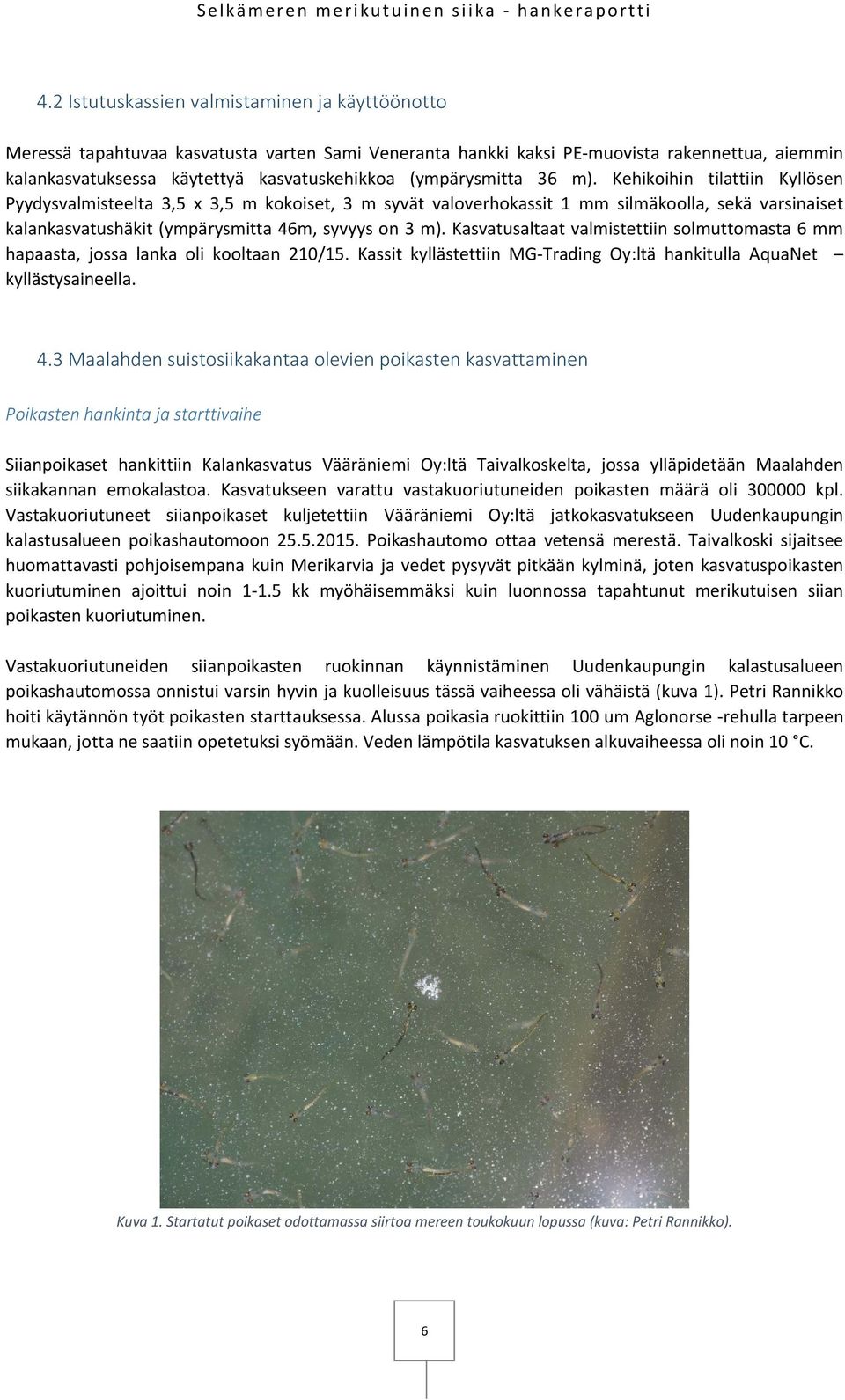 Kehikoihin tilattiin Kyllösen Pyydysvalmisteelta 3,5 x 3,5 m kokoiset, 3 m syvät valoverhokassit 1 mm silmäkoolla, sekä varsinaiset kalankasvatushäkit (ympärysmitta 46m, syvyys on 3 m).