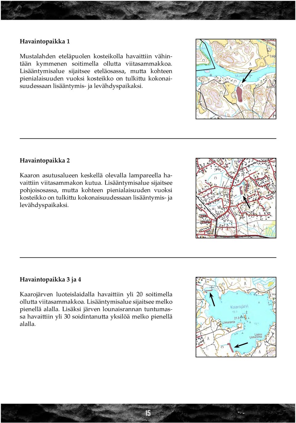 Havaintopaikka 2 Kaaron asutusalueen keskellä olevalla lampareella havaittiin viitasammakon kutua.