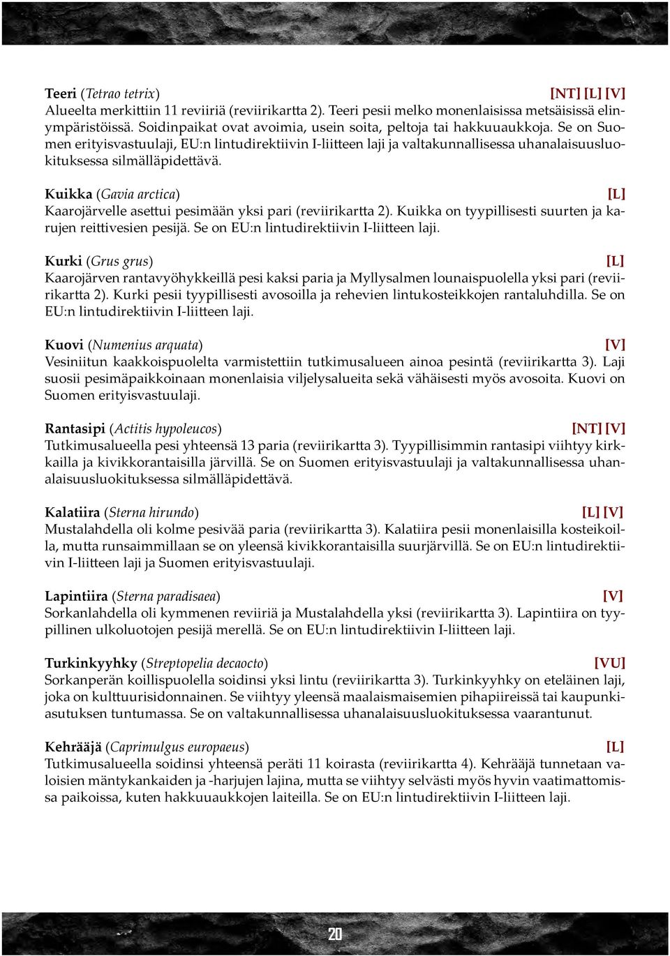 Se on Suomen erityisvastuulaji, EU:n lintudirektiivin I-liitteen laji ja valtakunnallisessa uhanalaisuusluokituksessa silmälläpidettävä.