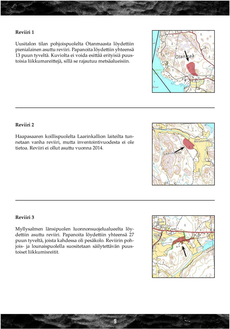 Reviiri 2 Haapasaaren koillispuolelta Laarinkallion laiteilta tunnetaan vanha reviiri, mutta inventointivuodesta ei ole tietoa. Reviiri ei ollut asuttu vuonna 2014.