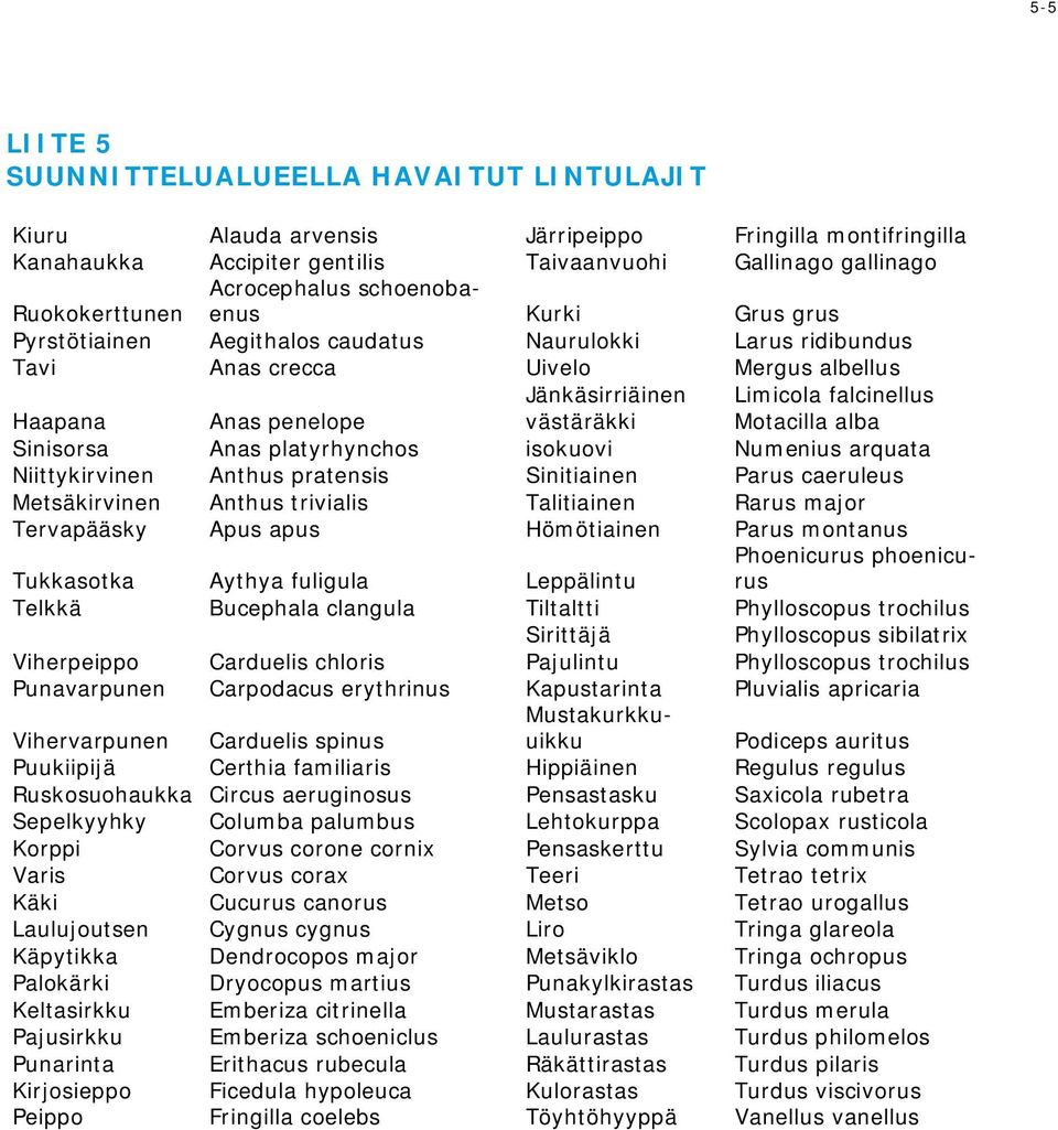 penelope västäräkki Motacilla alba Sinisorsa Anas platyrhynchos isokuovi Numenius arquata Niittykirvinen Anthus pratensis Sinitiainen Parus caeruleus Metsäkirvinen Anthus trivialis Talitiainen Rarus