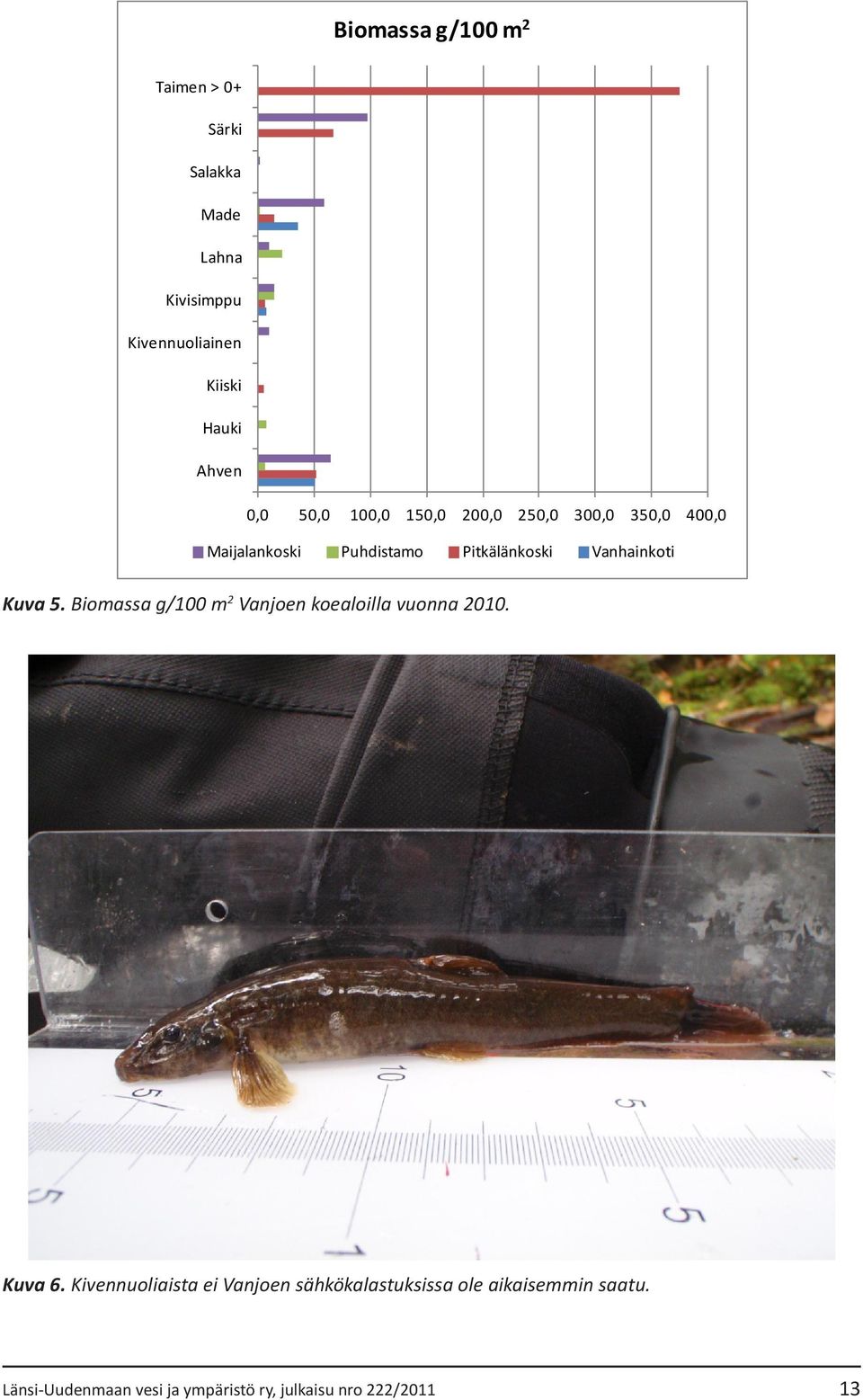 Vanhainkoti Kuva 5. Biomassa g/100 m 2 Vanjoen koealoilla vuonna 2010. Kuva 6.