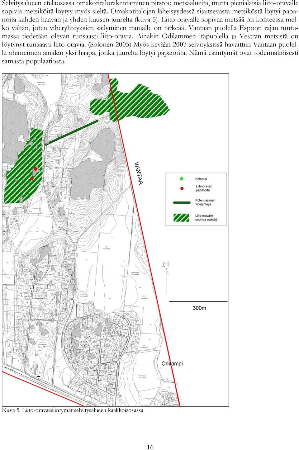 Liito-oravalle sopivaa metsää on kohteessa melko vähän, joten viheryhteyksien säilyminen muualle on tärkeää. Vantaan puolella Espoon rajan tuntumassa tiedetään olevan runsaasti liito-oravia.