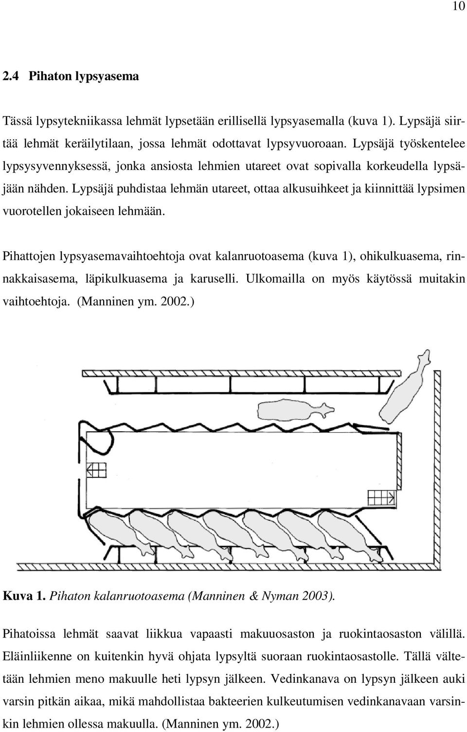 Lypsäjä puhdistaa lehmän utareet, ottaa alkusuihkeet ja kiinnittää lypsimen vuorotellen jokaiseen lehmään.