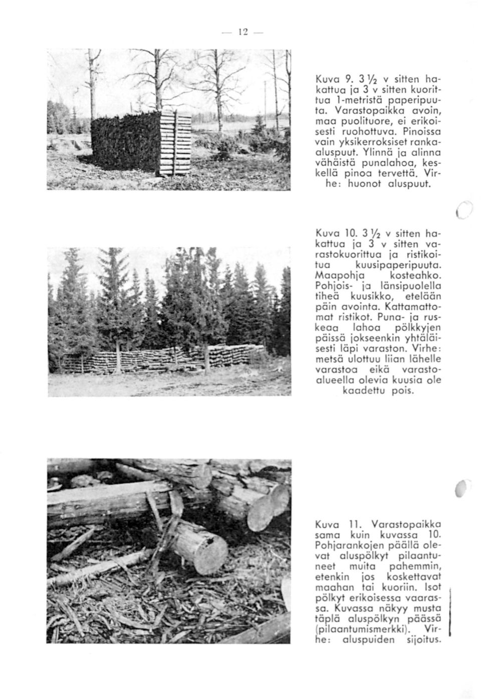 Pohjois- ja länsipuolella tiheä kuusikko, etelään päin avointa. Kottamattomat ristikot. Puna- ja ruskeaa lahoa pölkkyjen päissä jokseenkin yhtäläisesti läpi varaston.