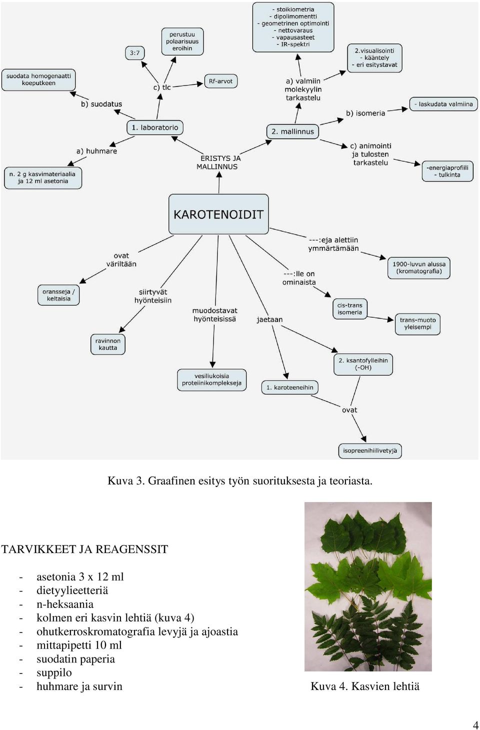 n-heksaania - kolmen eri kasvin lehtiä (kuva 4) - ohutkerroskromatografia