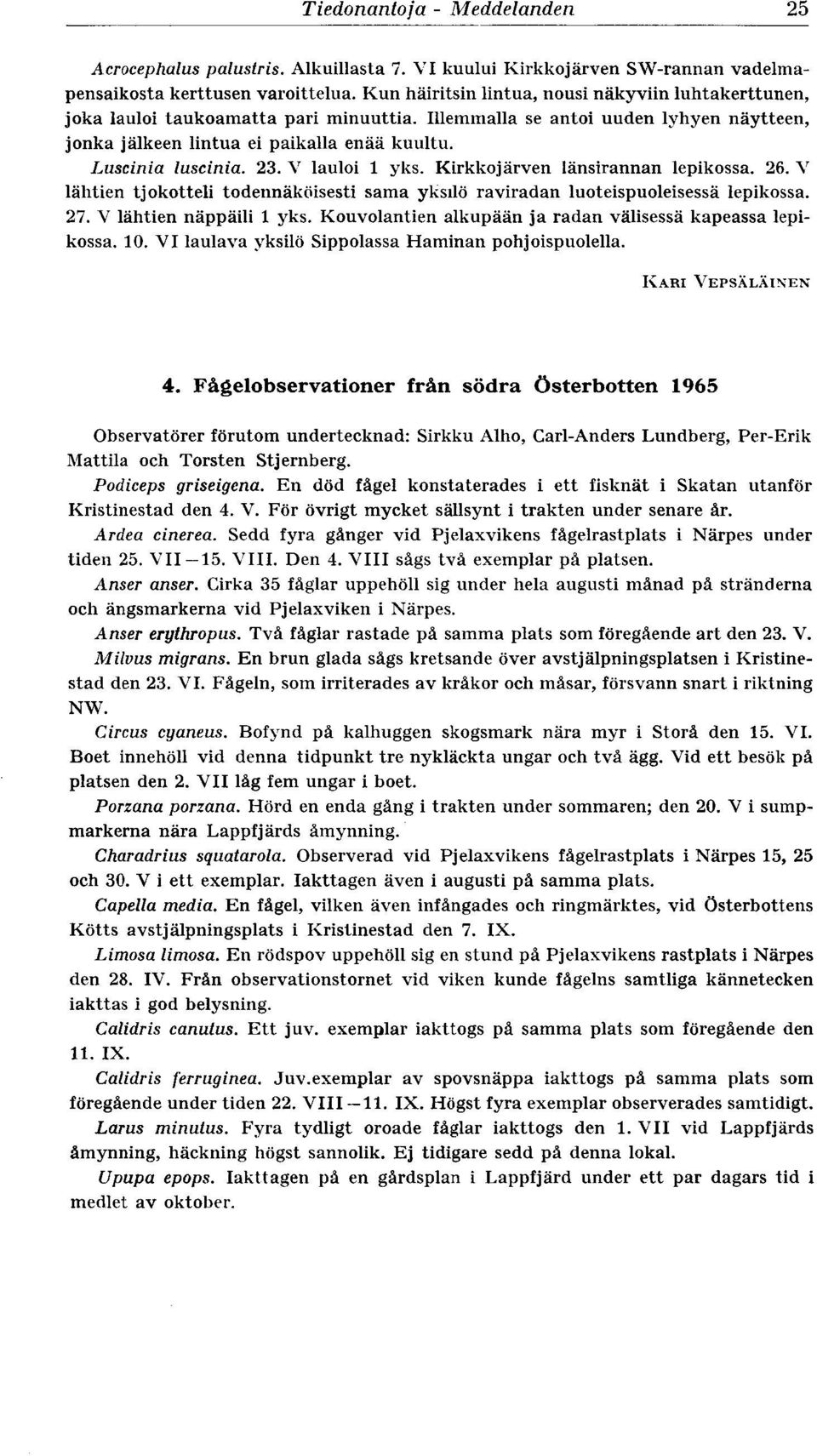 23. V lauloi 1 yks. Kirkkojärven länsirannan lepikossa. 26. V lähtien tjokotteli todennäköisesti sama yksilö raviradan luoteispuoleisessä lepikossa. 27. V lähtien näppäili 1 yks.