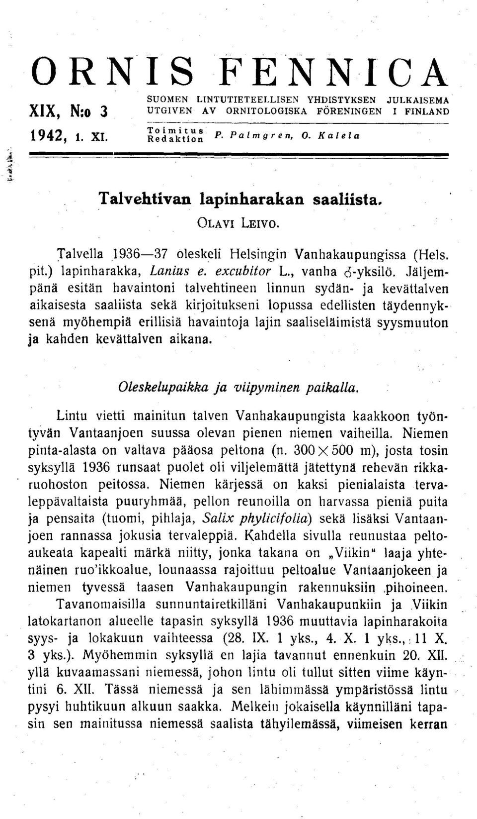 Jäljempänä esitän havaintoni talvehtineen linnun sydän- ja kevättalven aikaisesta saaliista sekä kirjoitukseni lopussa edellisten täydennyksenä myöhempiä erillisiä havaintoja lajin saaliseläimistä