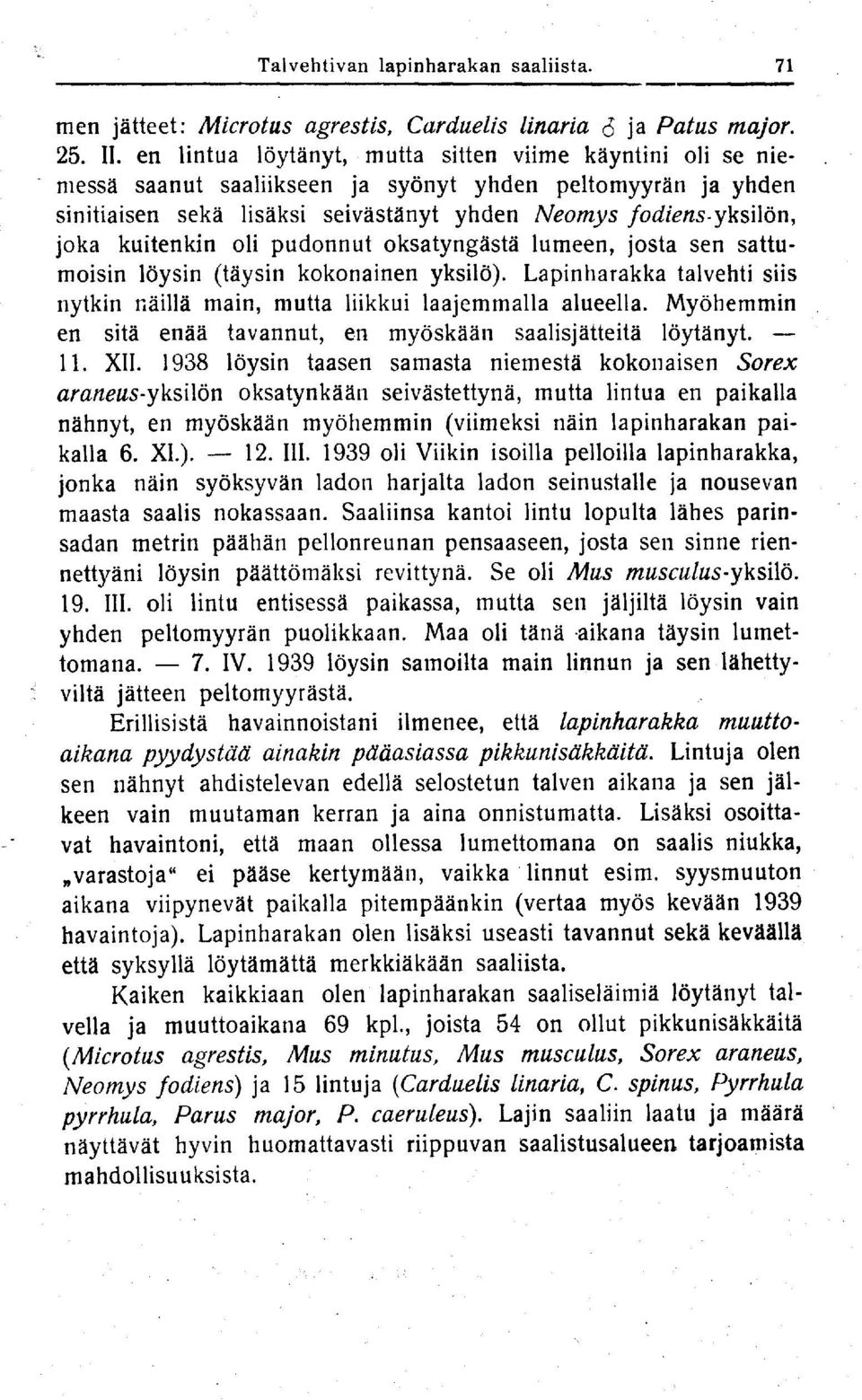 kuitenkin oli pudonnut oksatyngästä lumeen, josta sen sattumoisin löysin (täysin kokonainen yksilö). Lapinharakka talvehti siis nytkin näillä main, mutta liikkui laajemmalla alueella.