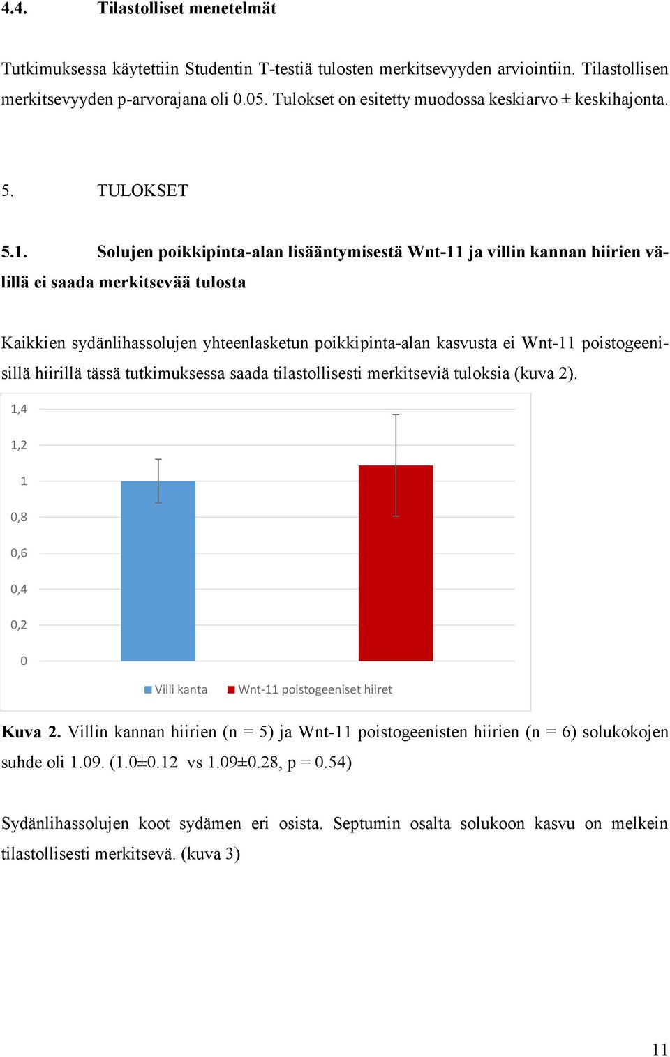 Solujen poikkipinta-alan lisääntymisestä Wnt-11 ja villin kannan hiirien välillä ei saada merkitsevää tulosta Kaikkien sydänlihassolujen yhteenlasketun poikkipinta-alan kasvusta ei Wnt-11