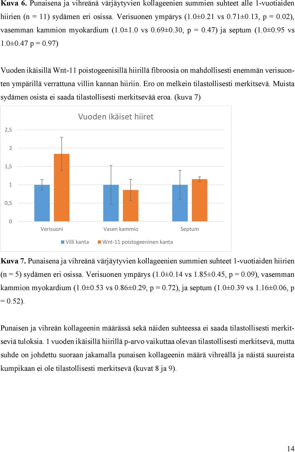 97) Vuoden ikäisillä Wnt-11 poistogeenisillä hiirillä fibroosia on mahdollisesti enemmän verisuonten ympärillä verrattuna villin kannan hiiriin. Ero on melkein tilastollisesti merkitsevä.