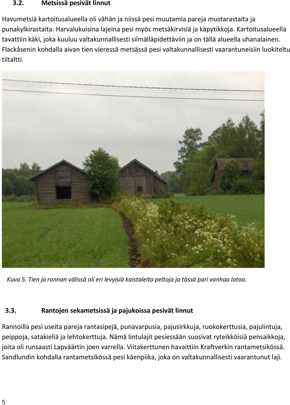 Flackåsenin kohdalla aivan tien vieressä metsässä pesi valtakunnallisesti vaarantuneisiin luokiteltu tiltaltti. Kuva 5.