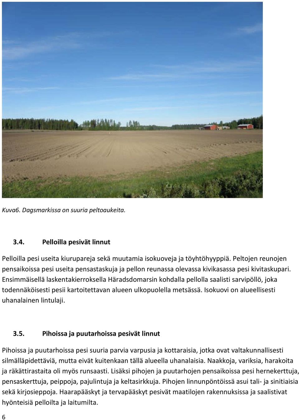 Ensimmäisellä laskentakierroksella Häradsdomarsin kohdalla pellolla saalisti sarvipöllö, joka todennäköisesti pesii kartoitettavan alueen ulkopuolella metsässä.
