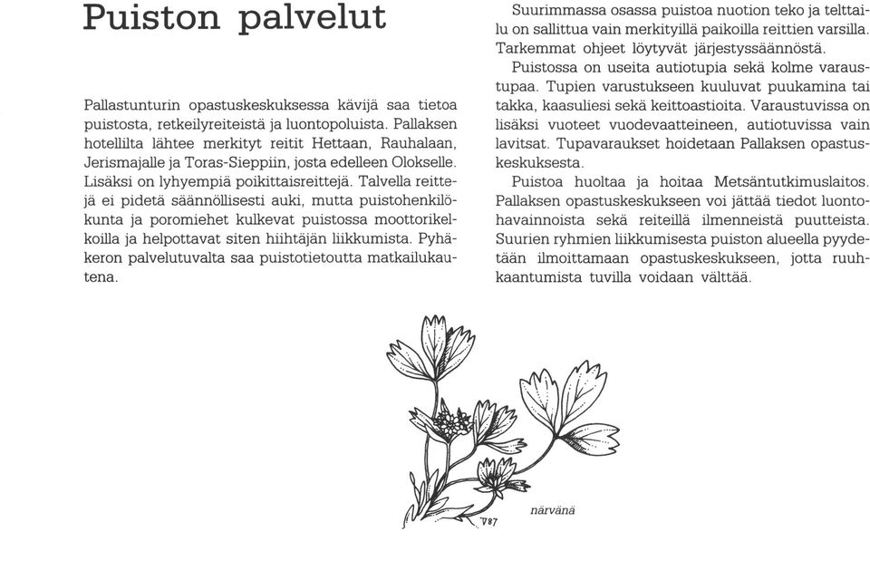 Pallaksen hotellilta lähtee merkityt reitit Hettaan, Rauhalaan, Jerismajalle ja Toras-Sieppiin, josta edelleen Otokselle. takka, kaasuliesi sekä keittoastioita.