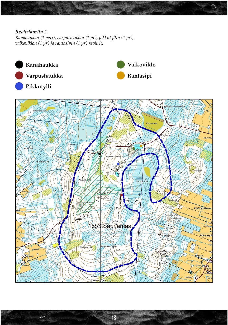 pr), valkoviklon (1 pr) ja rantasipin (1 pr) reviirit.