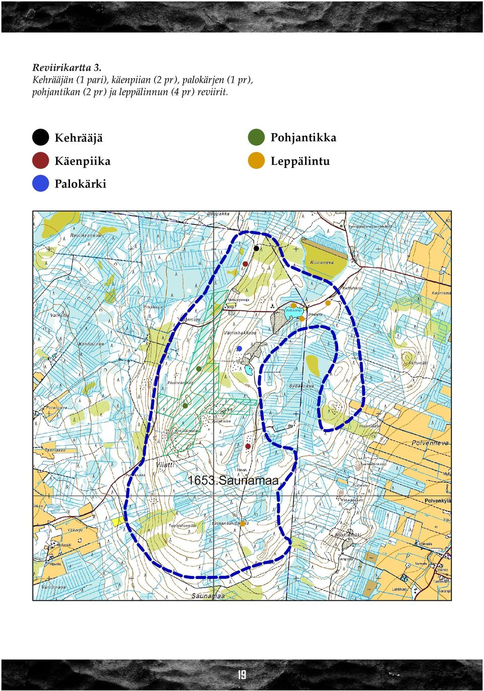 pohjantikan (2 pr) ja leppälinnun (4 pr) reviirit.