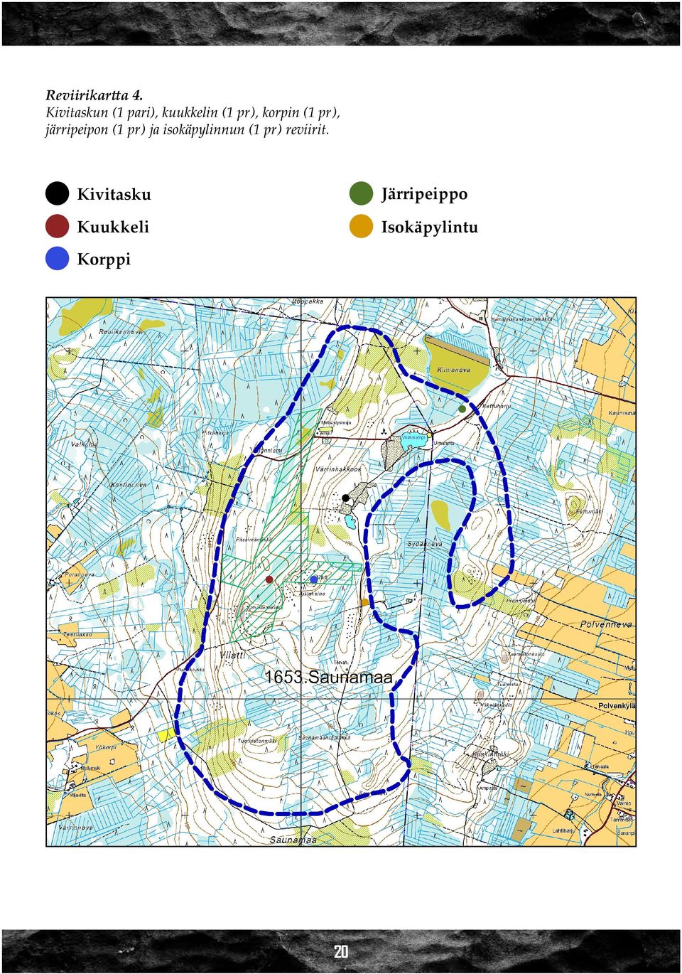 järripeipon (1 pr) ja isokäpylinnun (1 pr) reviirit.