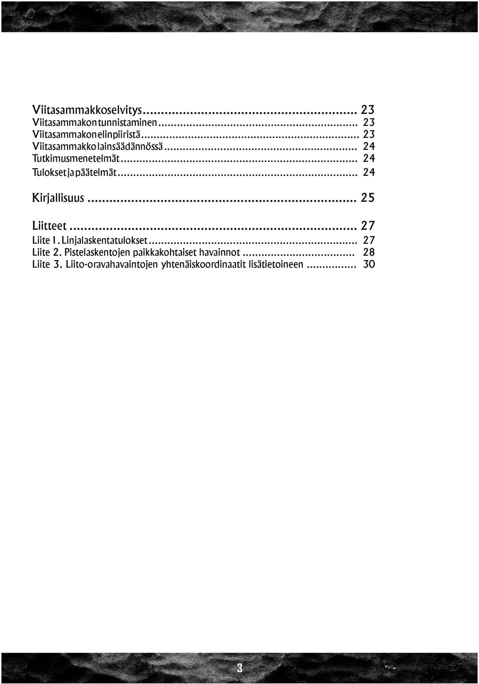 .. 24 Kirjallisuus... 25 Liitteet... 27 Liite 1. Linjalaskentatulokset... 27 Liite 2.