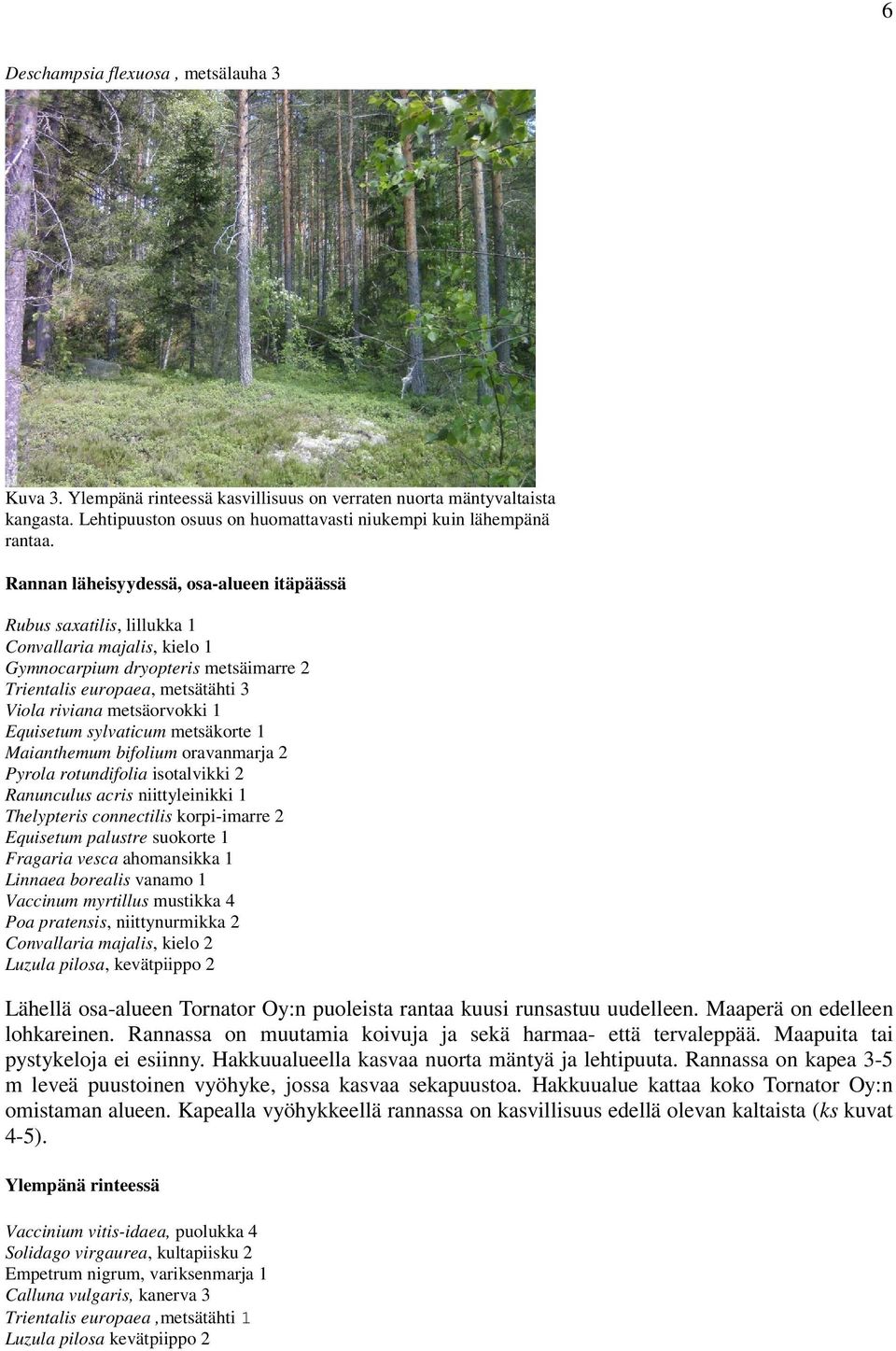 1 Equisetum sylvaticum metsäkorte 1 Maianthemum bifolium oravanmarja 2 Pyrola rotundifolia isotalvikki 2 Ranunculus acris niittyleinikki 1 Thelypteris connectilis korpi-imarre 2 Equisetum palustre