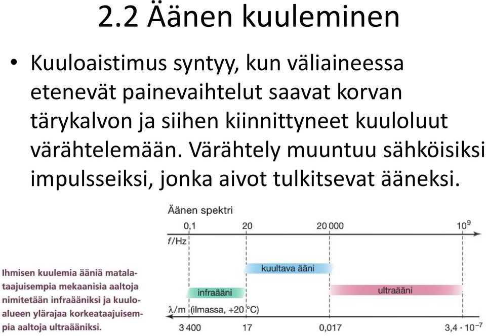 tärykalvon ja siihen kiinnittyneet kuuloluut värähtelemään.