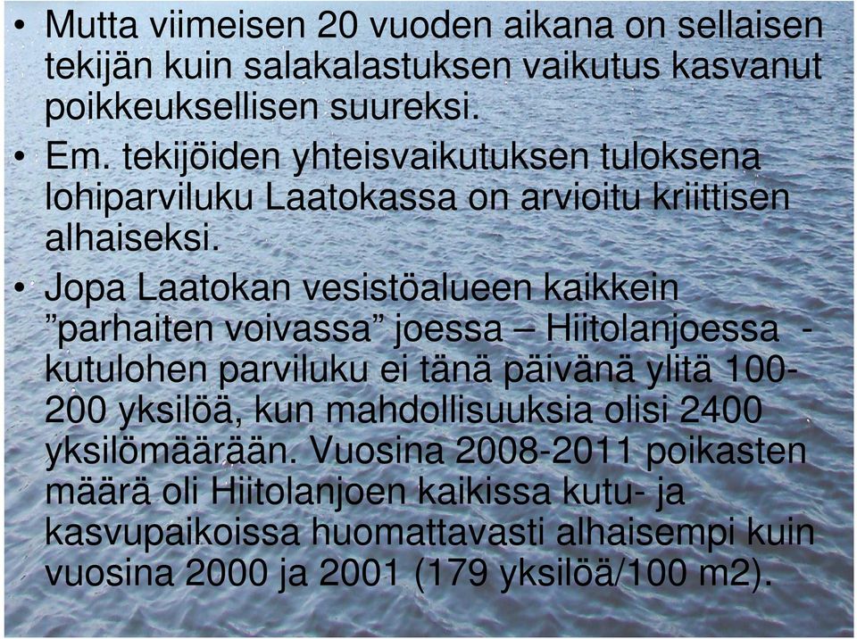 Jopa Laatokan vesistöalueen kaikkein parhaiten voivassa joessa Hiitolanjoessa - kutulohen parviluku ei tänä päivänä ylitä 100-200 yksilöä,