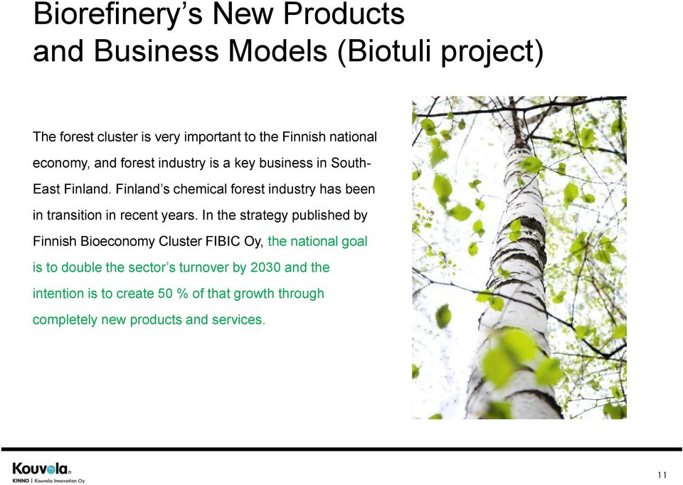 Finland s chemical forest industry has been in transition in recent years.