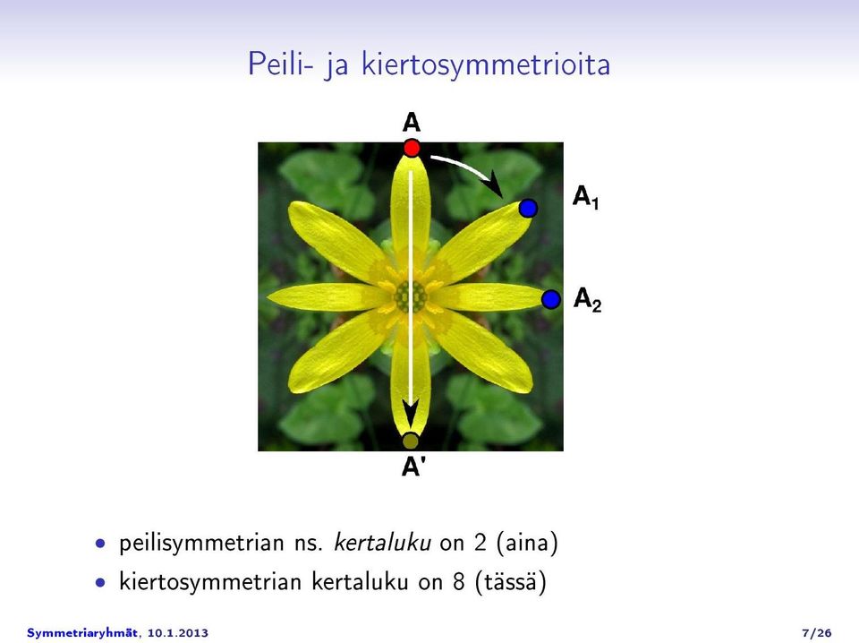 kertaluku on 2 (aina)