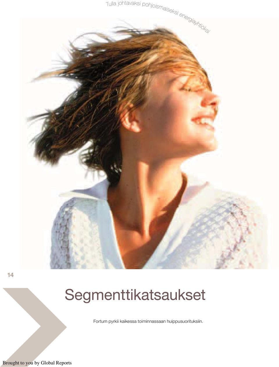 14 Segmenttikatsaukset Fortum