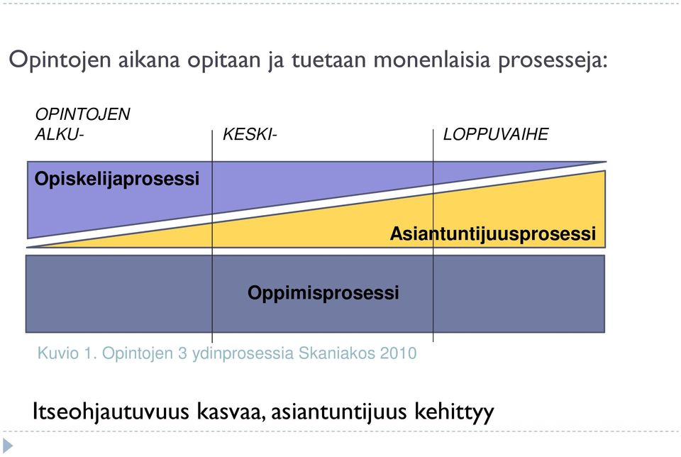 Asiantuntijuusprosessi Oppimisprosessi Kuvio 1.